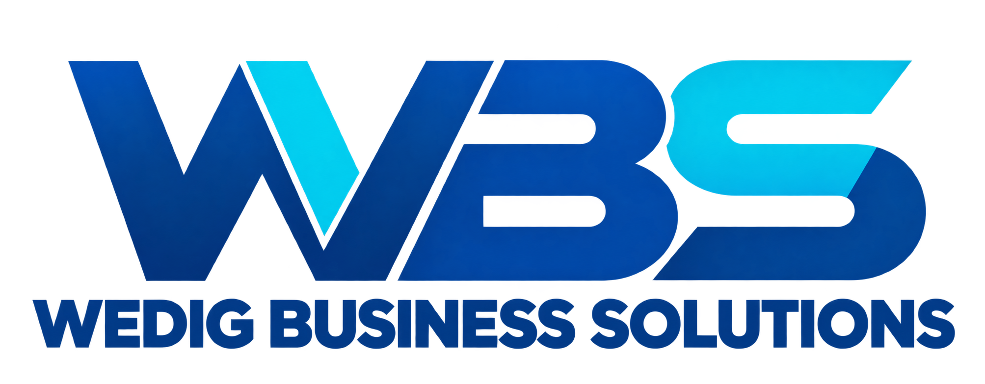 WBS — Wedig Business Solutions